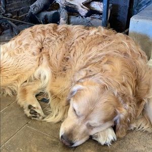 Meet your Posher, Christa